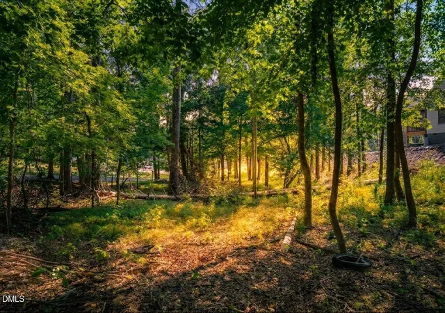 Photo 3 of Land for sale at Lot 4 Wild Turkey Dr, Semora, NC 27343 | MLS# 10188932 | Listing updated on 2026-08-27