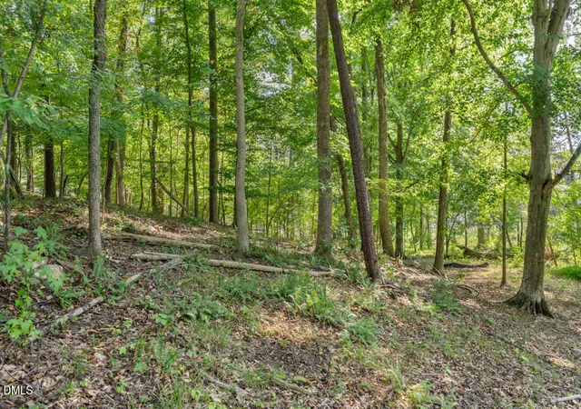 Photo 3 of Land for sale at Lot 4 Wild Turkey Dr, Semora, NC 27343 | MLS# 10188932 | Listing updated on 2026-08-27