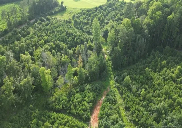 Photo 1 of Land for sale at 0 Leaflet Church Rd, Broadway, NC 27505 | MLS# 768518 | Listing updated on 2026-08-28
