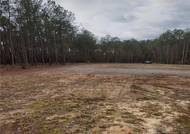 Photo 1 of Land for sale at 183 Thistlecone Ln, Sanford, NC 27330 | MLS# 768582 | Listing updated on 2026-08-30