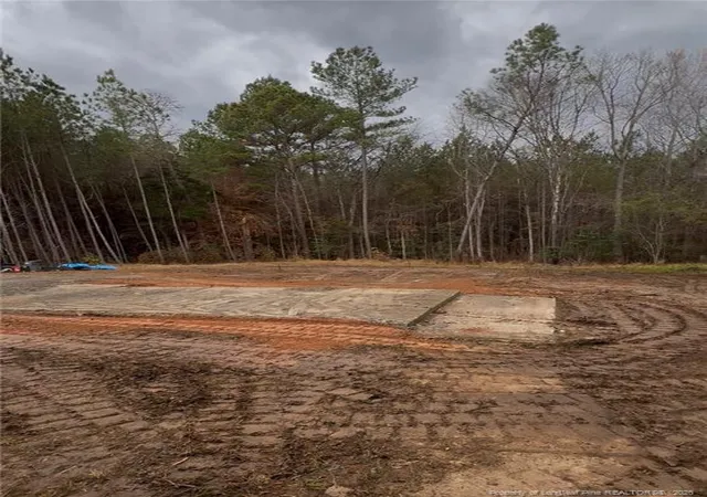 Photo 3 of Land for sale at 183 Thistlecone Ln, Sanford, NC 27330 | MLS# 768582 | Listing updated on 2026-08-30