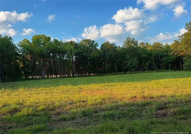 Photo 1 of Land for sale at Tbd Myrtle Rd, Roseboro, NC 28382 | MLS# 768588 | Listing updated on 2026-09-30