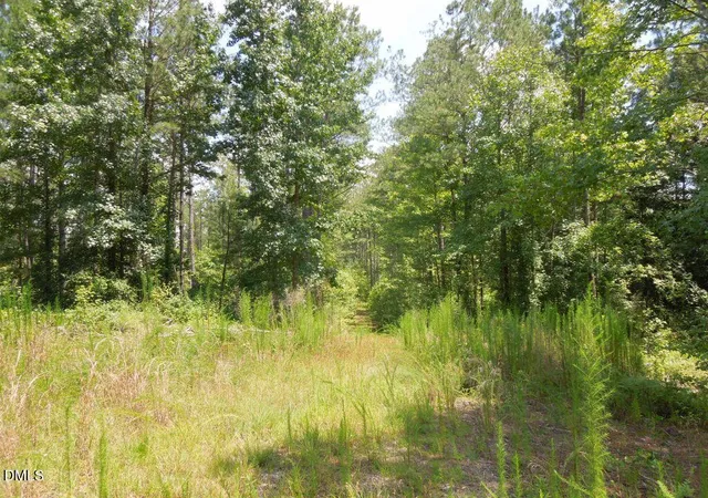 Photo 4 of Land for sale at 2200 Darroch Rd, Lillington, NC 27546 | MLS# 10189744 | Listing updated on 2026-08-31