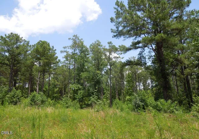 Photo 5 of Land for sale at 2200 Darroch Rd, Lillington, NC 27546 | MLS# 10189744 | Listing updated on 2026-08-31