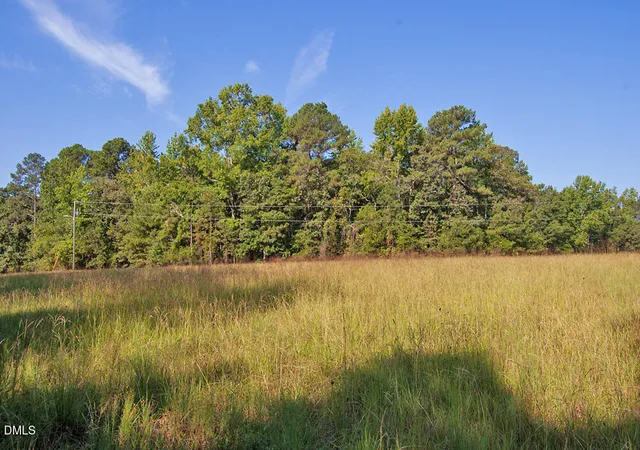 Photo 5 of House for sale at 1738 Laurel Ml Centerville Rd, Louisburg, NC 27549 | MLS# 10189790 | Listing updated on 2026-08-31