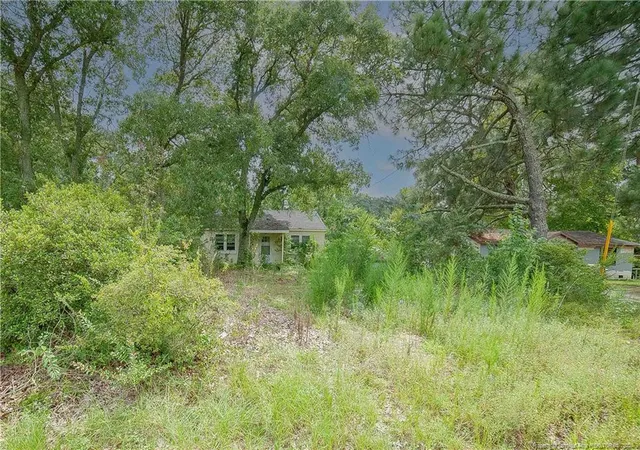 Photo 4 of Land for sale at 3140 Doc Brown Rd, Raeford, NC 28376 | MLS# 768544 | Listing updated on 2026-08-31