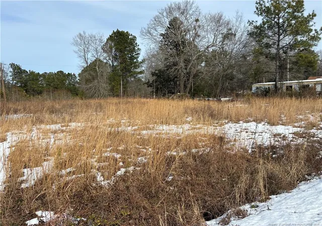 Photo 4 of Sale Pending at 12636 Nc 242 Hwy S, Bladenboro, NC 28320 | MLS# 768661 | Listing updated on 2026-09-04