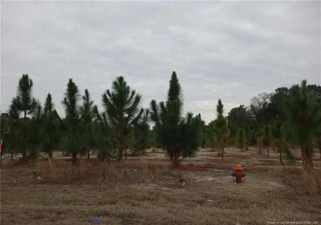 Photo 1 of Land for sale at Lot 42 Stuarts Ml Rd, Fairmont, NC 28340 | MLS# 756451 | Listing updated on 2026-02-18