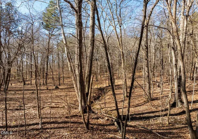 Photo 16 of Land for sale at 427 Vivaldi Dr, Durham, NC 27712 | MLS# 10124805 | Listing updated on 2026-01-31
