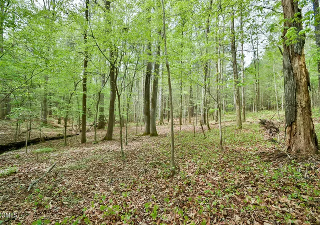 Photo 10 of Land for sale at 0 Morrow Ml Rd, Chapel Hill, NC 27516 | MLS# 10161911 | Listing updated on 2026-04-23