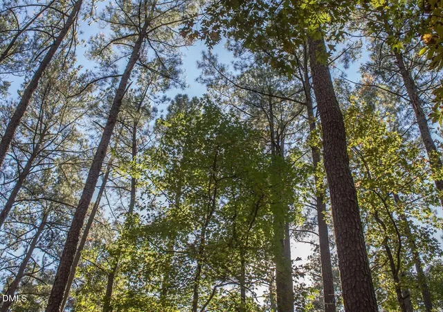 Photo 83 of Sale Pending at 447 Davis Love Dr, Chapel Hill, NC 27517 | MLS# 10157107 | Listing updated on 2026-04-24