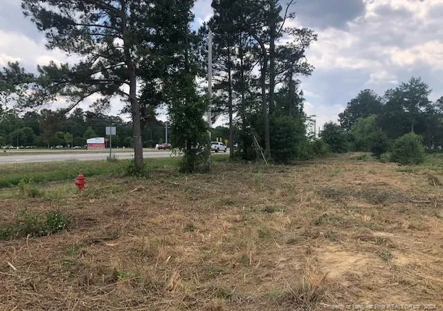Photo 2 of Land for sale at 6415 Fayetteville Rd, Raeford, NC 28376 | MLS# 723423 | Listing updated on 2026-03-24