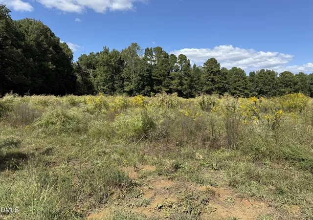 Photo 2 of Single family home for sale at 3718 Hinton Ml Ct, Franklinton, NC 27525 | MLS# 10127741 | Listing updated on 2026-05-05