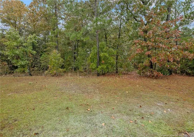 Photo 48 of Single family home for sale at 159 English Oak Dr, Bunnlevel, NC 28323 | MLS# 752809 | Listing updated on 2026-05-07