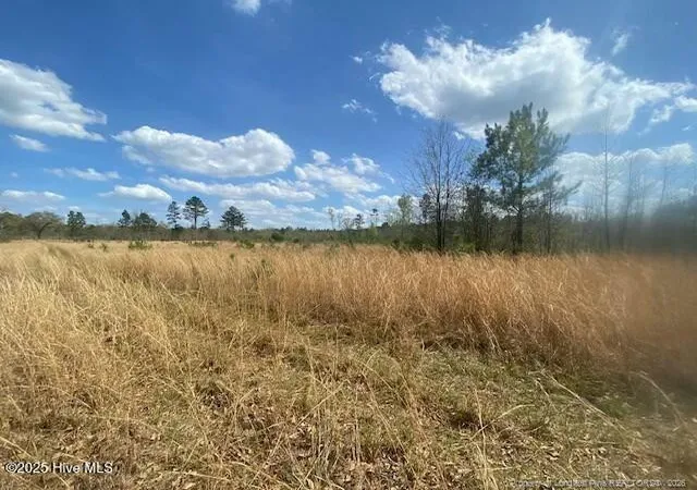 Photo 2 of Land for sale at 28385 Aberdeen Rd, Wagram, NC 28396 | MLS# 756106 | Listing updated on 2026-02-27