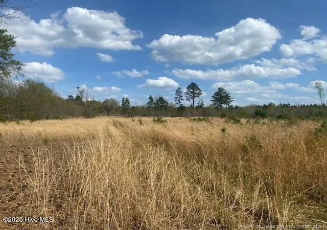 Photo 4 of Land for sale at 28385 Aberdeen Rd, Wagram, NC 28396 | MLS# 756106 | Listing updated on 2026-02-27