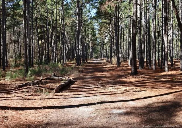 Photo 2 of Land for sale at Nc Hwy 130, Fairmont, NC 28340 | MLS# 756431 | Listing updated on 2026-04-20