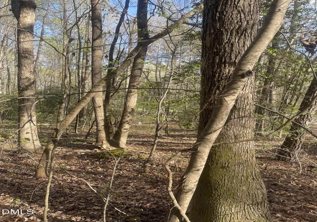 Photo 2 of Land for sale at 0 Ed Ln, Carthage, NC 28327 | MLS# 10156280 | Listing updated on 2026-03-30