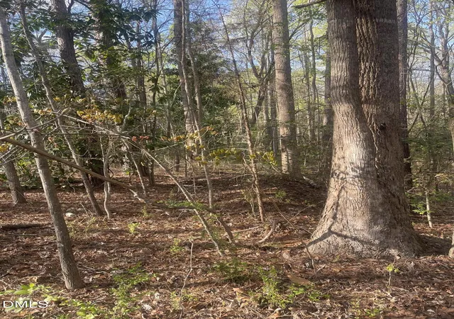 Photo 3 of Land for sale at 0 Ed Ln, Carthage, NC 28327 | MLS# 10156280 | Listing updated on 2026-03-30