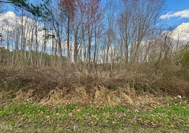 Photo 1 of Land for sale at 000 Weldons Ml Rd, Henderson, NC 27537 | MLS# 10156488 | Listing updated on 2026-04-06