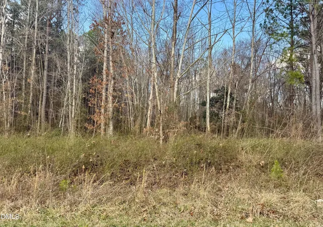 Photo 3 of Land for sale at 000 Weldons Ml Rd, Henderson, NC 27537 | MLS# 10156488 | Listing updated on 2026-04-06