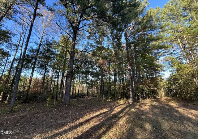 Photo 10 of Land for sale at 1539 Schloss Rd, Louisburg, NC 27549 | MLS# 10126791 | Listing updated on 2026-02-27