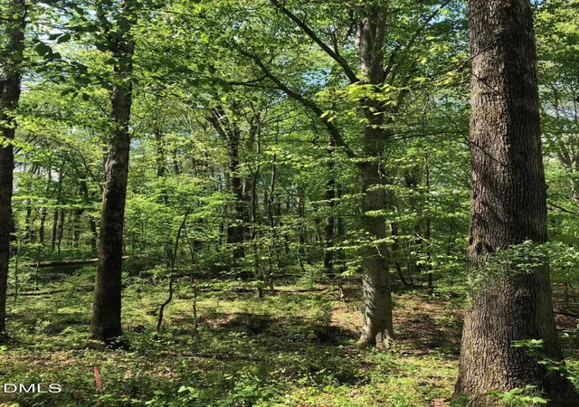 Photo 2 of Land for sale at 910 Nc 902, Pittsboro, NC 27312 | MLS# 10157132 | Listing updated on 2026-04-02