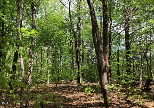 Photo 3 of Land for sale at 910 Nc 902, Pittsboro, NC 27312 | MLS# 10157132 | Listing updated on 2026-04-02