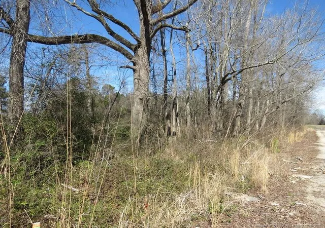 Photo 13 of Single family home for sale at Tbd Kehukee Dr, Parkton, NC 28371 | MLS# 753980 | Listing updated on 2026-02-25