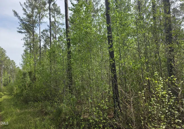 Photo 14 of Land for sale at 294 Hight Rd, Louisburg, NC 27549 | MLS# 10160220 | Listing updated on 2026-05-12