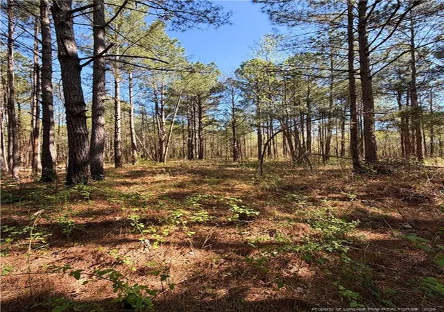 Photo 1 of Sale Pending at Clark Rd, Maxton, NC 28364 | MLS# 760123 | Listing updated on 2026-05-06