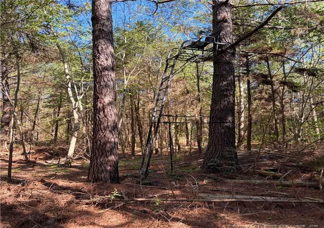 Photo 2 of Sale Pending at Clark Rd, Maxton, NC 28364 | MLS# 760123 | Listing updated on 2026-05-06