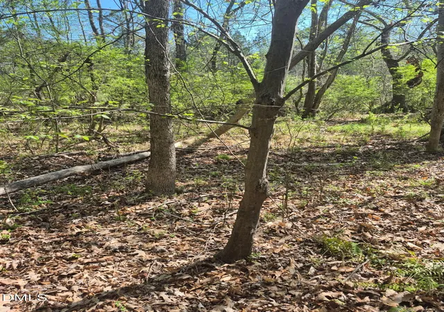 Photo 5 of Land for sale at 4222 Jeffries Rd, Durham, NC 27704 | MLS# 10161111 | Listing updated on 2026-04-18