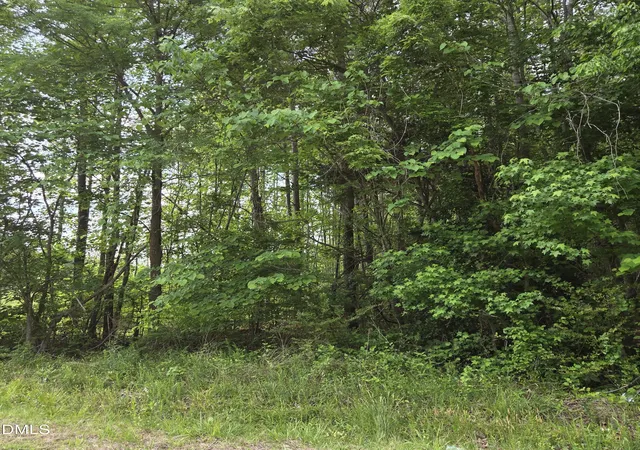 Photo 1 of Land for sale at I1035a Tutelo Rd, Warrenton, NC 27589 | MLS# 10163427 | Listing updated on 2026-05-10