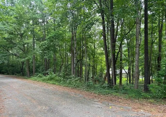 Homes for sale in Sanford, NC | 162 Woodwedge Way, Sanford, NC 27332 | MLS# 748869