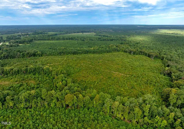Photo 12 of Land for sale at 7 & 7a Richardson Rd, Warrenton, NC 27589 | MLS# 10156632 | Listing updated on 2026-04-01
