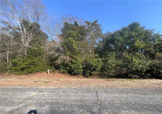 Photo 3 of Land for sale at Mabry Rd, Fayetteville, NC 28348 | MLS# 758122 | Listing updated on 2026-03-03