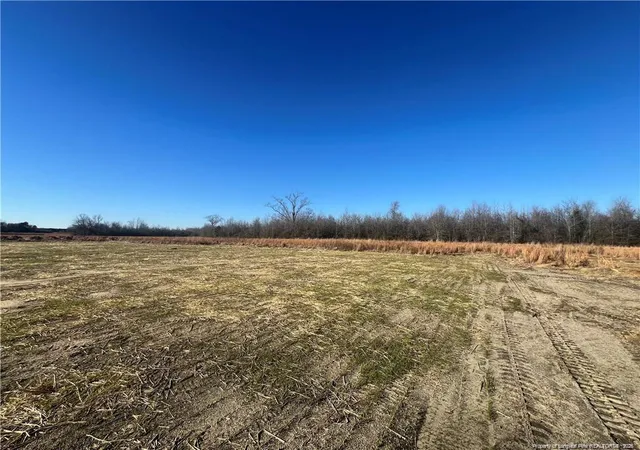 Photo 25 of Single family home for sale at 4075 Blue Springs (lot 13) Rd, Red Springs, NC 28377 | MLS# 759690 | Listing updated on 2026-05-01