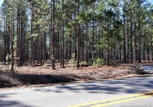 Photo 10 of Land for sale at Nc Hwy 130, Fairmont, NC 28340 | MLS# 756432 | Listing updated on 2026-04-20