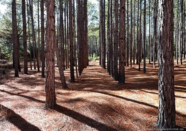 Photo 2 of Land for sale at Nc Hwy 130, Fairmont, NC 28340 | MLS# 756432 | Listing updated on 2026-04-20
