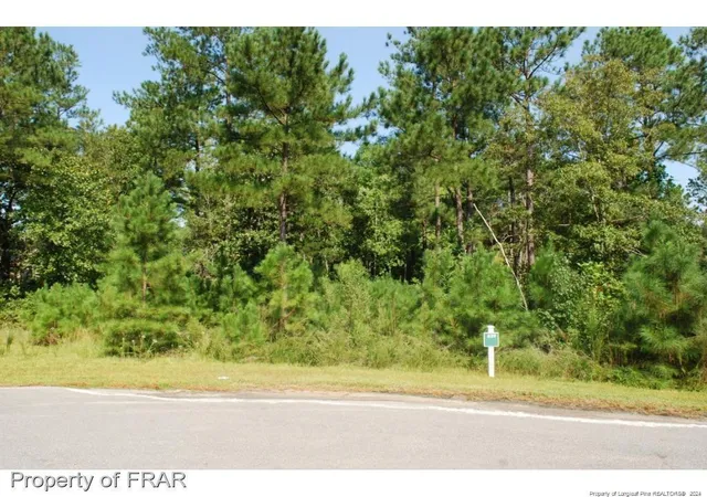 Photo 2 of Land for sale at 222 Broadlake (639) Ln, Spring Lake, NC 28390 | MLS# 734544 | Listing updated on 2025-12-17