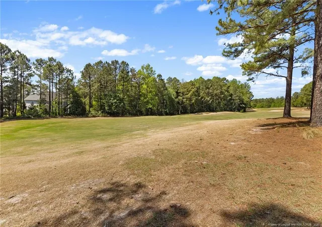 Photo 49 of Single family home for sale at 987 Micahs Way N, Spring Lake, NC 28390 | MLS# 760579 | Listing updated on 2026-05-10