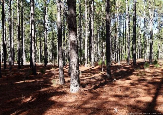 Photo 2 of Land for sale at Nc Hwy 130, Fairmont, NC 28340 | MLS# 756429 | Listing updated on 2026-04-20