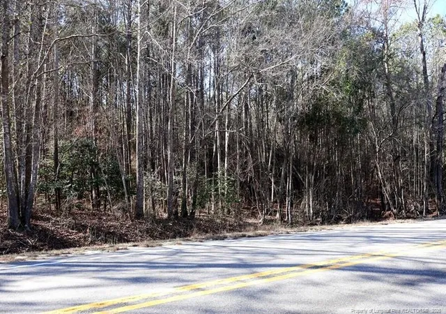Photo 7 of Land for sale at Nc Hwy 130, Fairmont, NC 28340 | MLS# 756429 | Listing updated on 2026-04-20