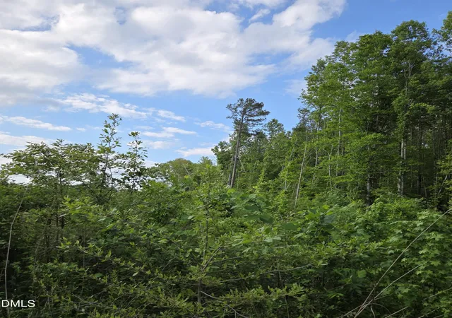 Photo 1 of Land for sale at I1035b Tutelo Rd, Warrenton, NC 27589 | MLS# 10163425 | Listing updated on 2026-05-10