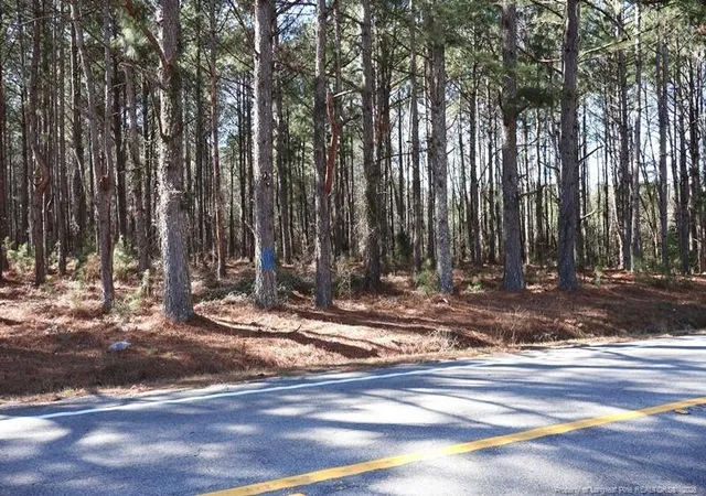 Photo 2 of Land for sale at Nc Hwy 130, Fairmont, NC 28340 | MLS# 756426 | Listing updated on 2026-04-20