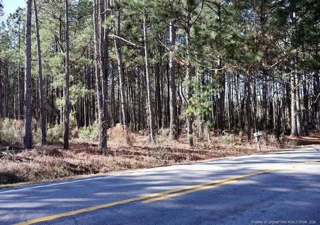 Photo 4 of Land for sale at Nc Hwy 130, Fairmont, NC 28340 | MLS# 756426 | Listing updated on 2026-04-20