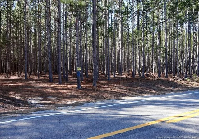 Photo 2 of Land for sale at Nc Hwy 130, Fairmont, NC 28340 | MLS# 756428 | Listing updated on 2026-04-20