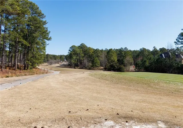 Photo 1 of Land for sale at #4 Caddie Ct, Wagram, NC 28396 | MLS# 739128 | Listing updated on 2025-12-28