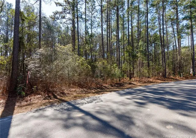 Photo 2 of Land for sale at #4 Caddie Ct, Wagram, NC 28396 | MLS# 739128 | Listing updated on 2025-12-28